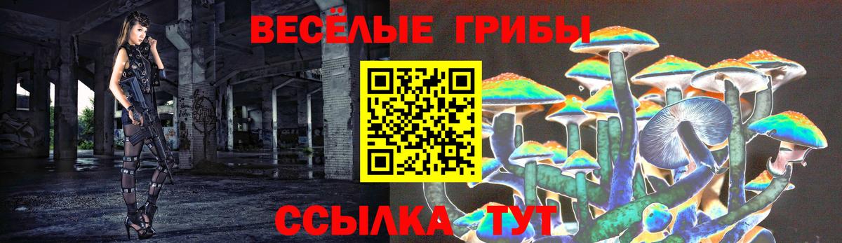 Сарапул  Псилоцибиновые грибы Cubensis  Вход с VPN 